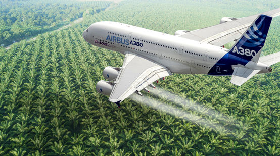 Montaje: avión Airbus sobre plantación de aceite de palma