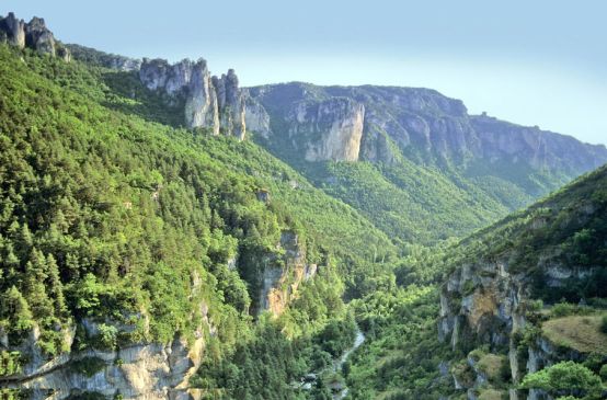 Bosque y montañas en Francia