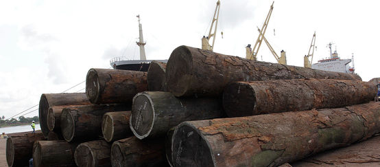 Madera en el puerto de Liberia (Foto: PROFOR (CC BY-NC 2.0)) (© PROFOR (CC BY-NC 2.0)) Madera ilegal exportación