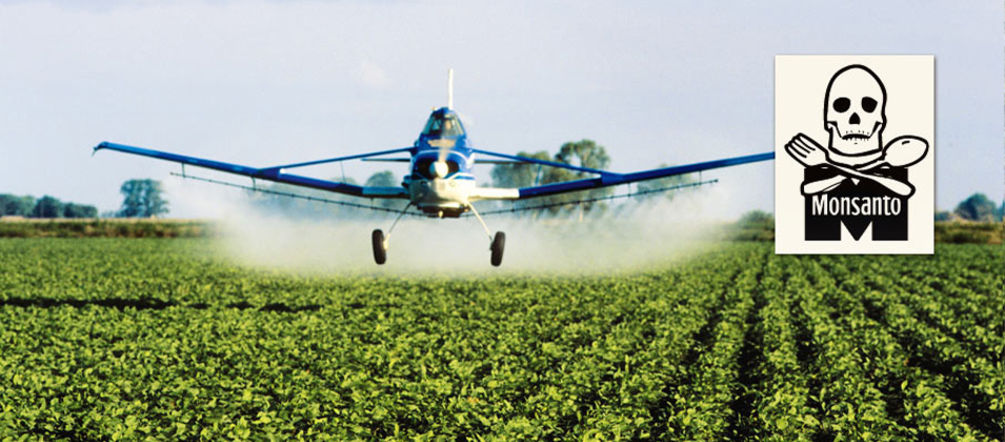 ¡Paren de fumigar! Avioneta lanzando herbicida sobre campo de soja