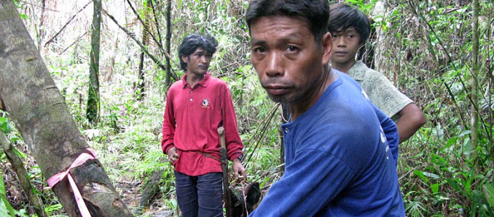 La empresa minera ya marcó árboles en la selva de los indígenas de Palawan
