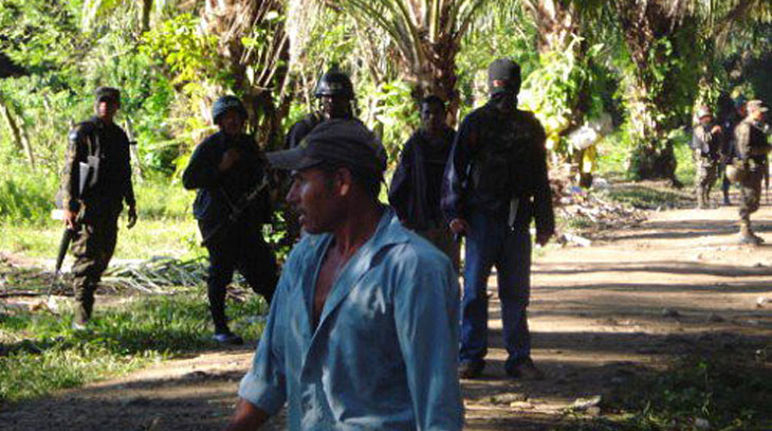 Una mala combinación: palma, militares y campesinos