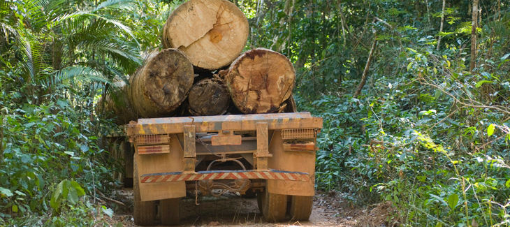 Camión cargado de madera