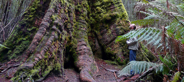 Zona de naturaleza salvaje de Tasmania patrimonio mundial UNESCO