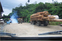 Transporte de madera tropical