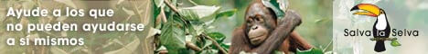 Banner: Regale selva tropical