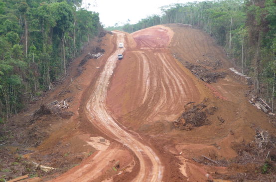 Deforestación de la selva amazónica de Brasil