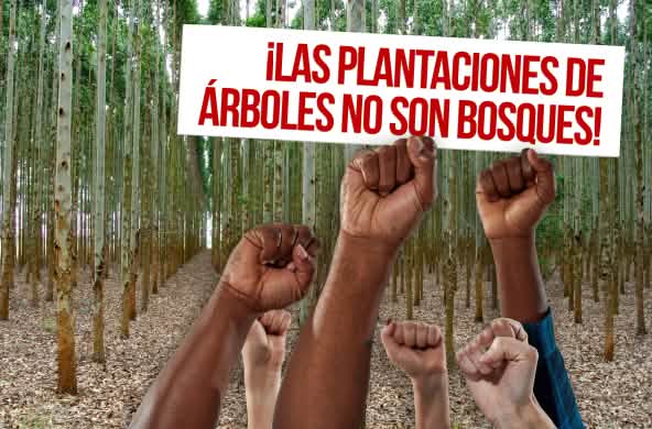Collage del 21 de Septiembre, Día Internacional contra las Plantaciones de Árboles