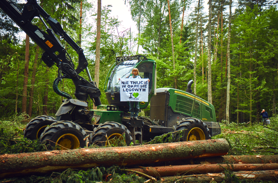 Protesta contra la tala del bosque de Bialowieza en Polonia