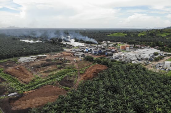 La planta procesadora propiedad de Corporación Dinant se mantiene activa