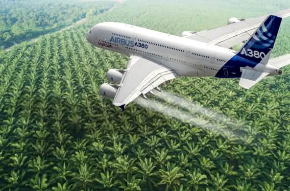 Montaje: avión Airbus sobre plantación de aceite de palma