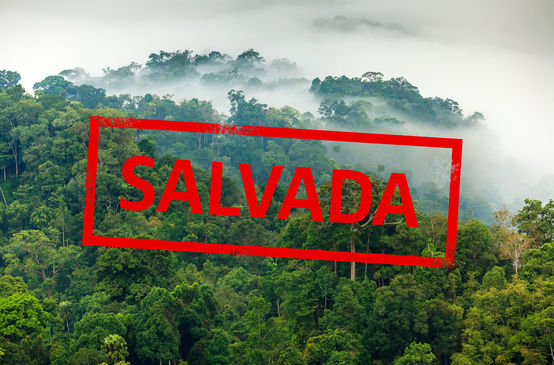Selva amazónica con la inscripción "salvada"