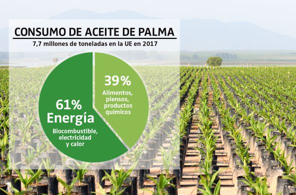 Gráfico - Uso de aceite de palma en la UE en 2017 / Fondo, plantación de palma aceitera