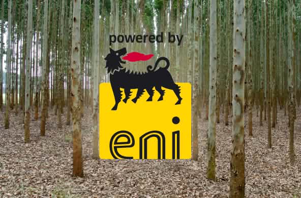 Collage: plantación de eucalipto con el logo de ENI