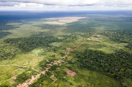 Vista aérea de una pequeña comunidad a lo largo de un camino recto y detrás las plantaciones de palma aceitera van avanzando y disminuyendo la selva tropical.