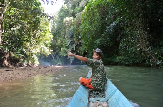 Un hombre señala la selva tropical en Sarawak, Borneo, desde un bote