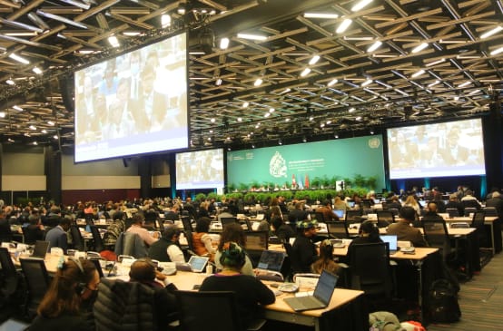 Salón de la plenaria en la COP15