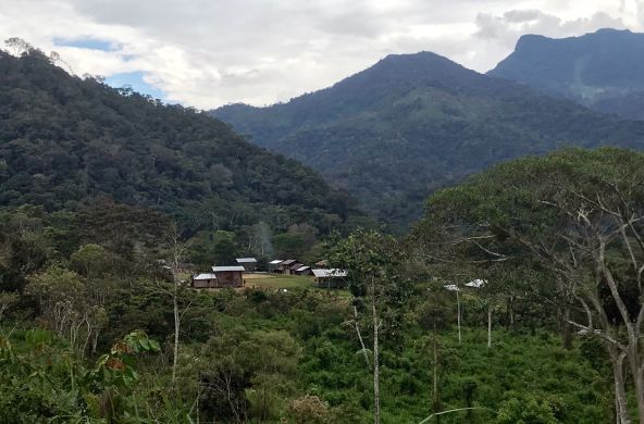 Comunidad de Tsumtsuim en el territorio Shuar, al sur del Ecuador