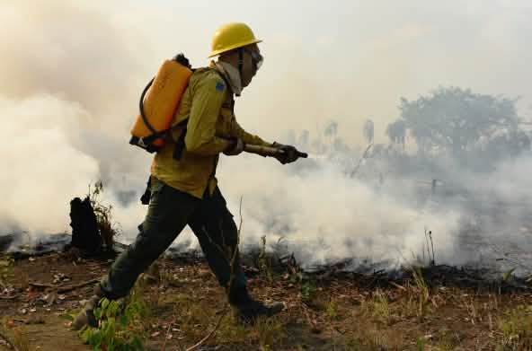 Una persona con vestimenta de protección frente al fuego y una mochila de agua a la espalda arroja agua sobre los restos de vegetación que arden en el suelo