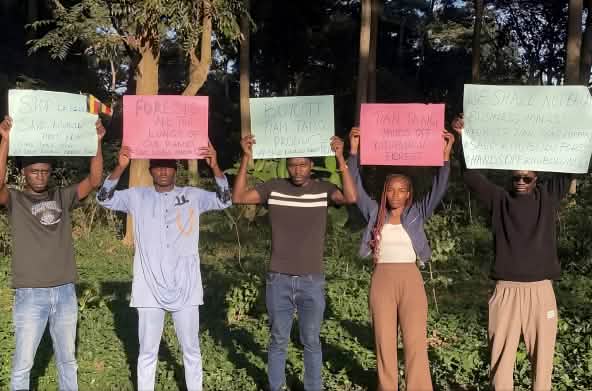 Manifestación de dos hombres y dos mujeres, que sostienen unas pancartas en alto en protesta por la deforestación