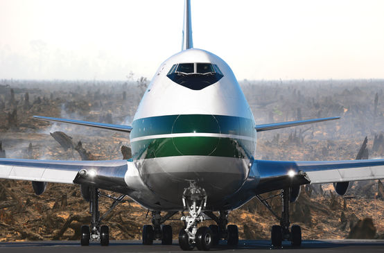 Avión sobre selva destruida
