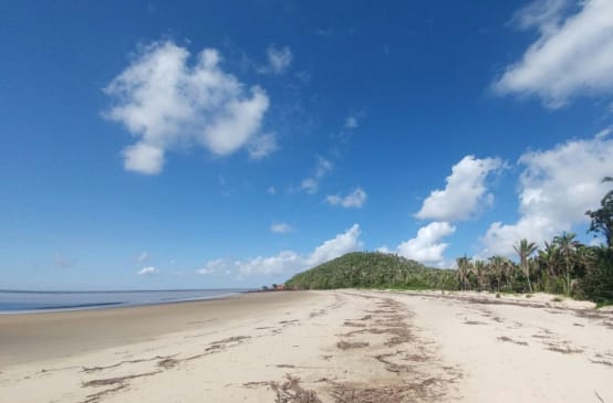 Playa tropical con palmas en la Isla de Cajual