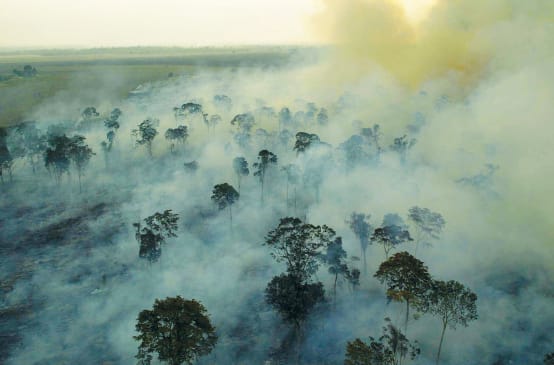 Incendio forestal