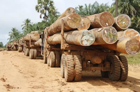Camión transporta troncos en Liberia