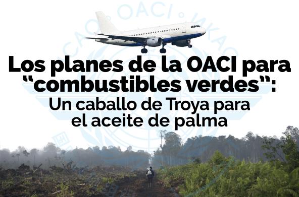Los planes de OACI de biocombustibles a base de aceite de palma para la aviación