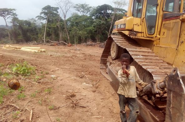 Bulldozer, Nigeria