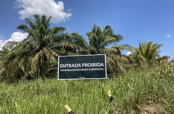 Delante de una plantación de palma aceitera, c artel de la empresa Agropalma, en el que se lee “Entrada prohibida. Propiedad del grupo Agropalma”