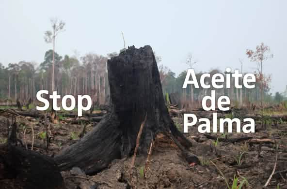 Selva devastada por incendios en Indonesia - leyenda Stop Aceite de Palma
