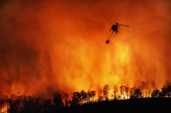 Incendio forestal