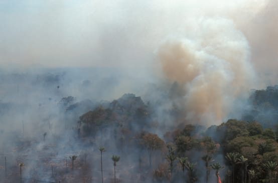 Vista aérea de la selva amazónica en llamas