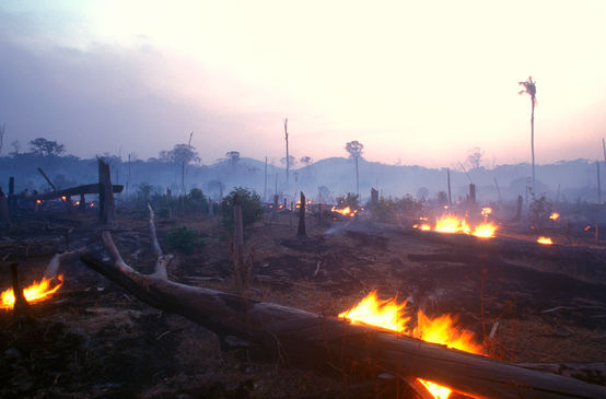 Incendio en Brasil