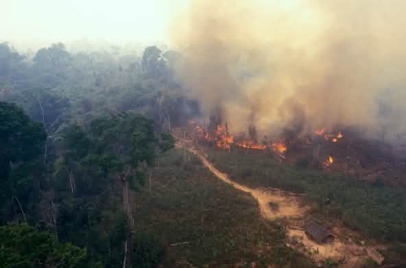 Fuego en la Amazonía