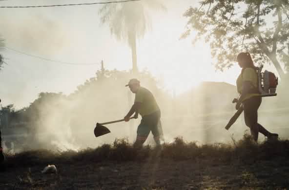 Un hombre y una mujer en medio del humo, con un soplador portátil durante un ejercicio de combate del fuego, a contraluz