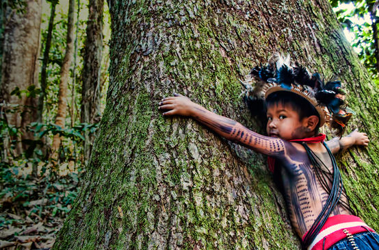 Niño abrazando un árbol