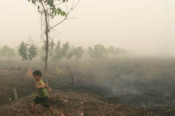 Niño caminando sobre una turbera en llamas en Katingan, Borneo