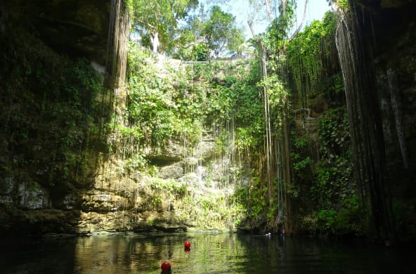 Cenote en México, rodeado de árboles. La construcción del Tren Maya amenaza muchos de estos cuerpos de agua subterráneos.