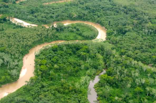 Un río atraviesa un bosque tropical en el Perú