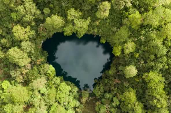 Una laguna en forma de corazón de aguas oscuras rodeada por una densa selva verde; vista desde arriba, se distingue claramente el contraste entre el agua y el bosque
