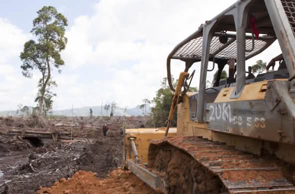 Excavadora en primer plano destruyendo la selva tropical