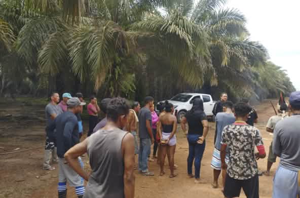 Más de 15 indígenas, mujeres y hombres, de pie y de espaldas en un camino cercado por plantaciones de palma aceitera. Hablan con los guardias de seguridad privada de la empresa Agropalma.