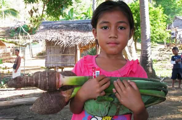Niña Pala’wan en su comunidad con un taro, verdura local