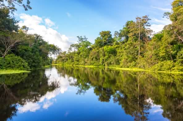 A orillas del Río Yanayacu, cerca de Iquitos, Perú