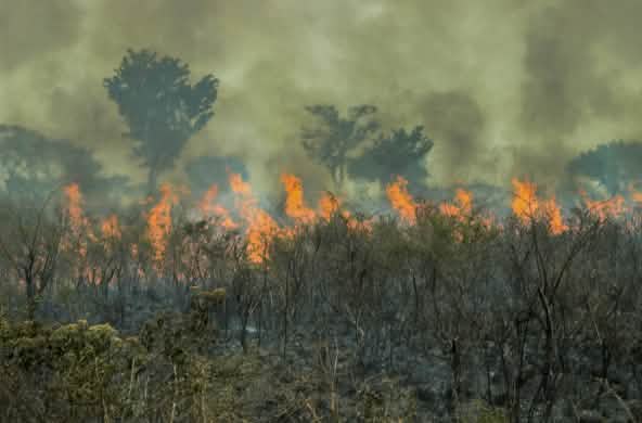 Incendios en la amazonía de Brasil