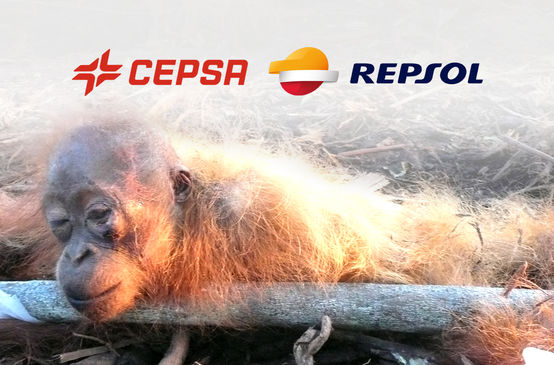 Orangután en agonía, con logos Repsol y Cepsa
