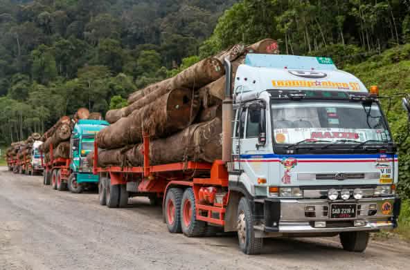 Transporte de madera en camiones en el distrito de Tawau en Sabah