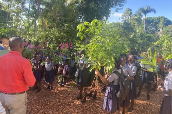 Alumnos plantan árboles en el marco de proyecto de reforestación de la Universidad Itinerante de la Resistencia, UNIR Haití